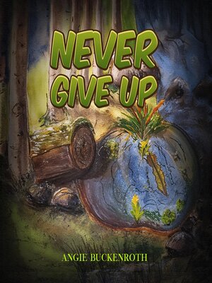 cover image of Never Give Up